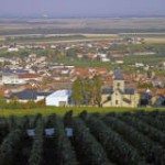 Champagne Le Mesnil Wines With Conviction